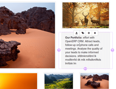 Odoo image and text block